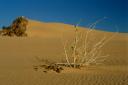 mauritanie9_1600.jpg